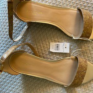 Ann Taylor Ankle Strap Shoes